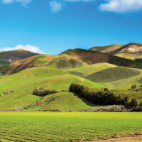 Member Services Officer 1 for San Luis Obispo CA (1609)