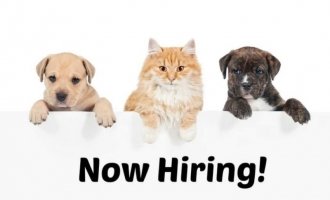 Animal Behavior Consultant - New York