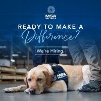 Canine Handler (K9) - Explosive Detection - Newark NJ 07015 Training provided